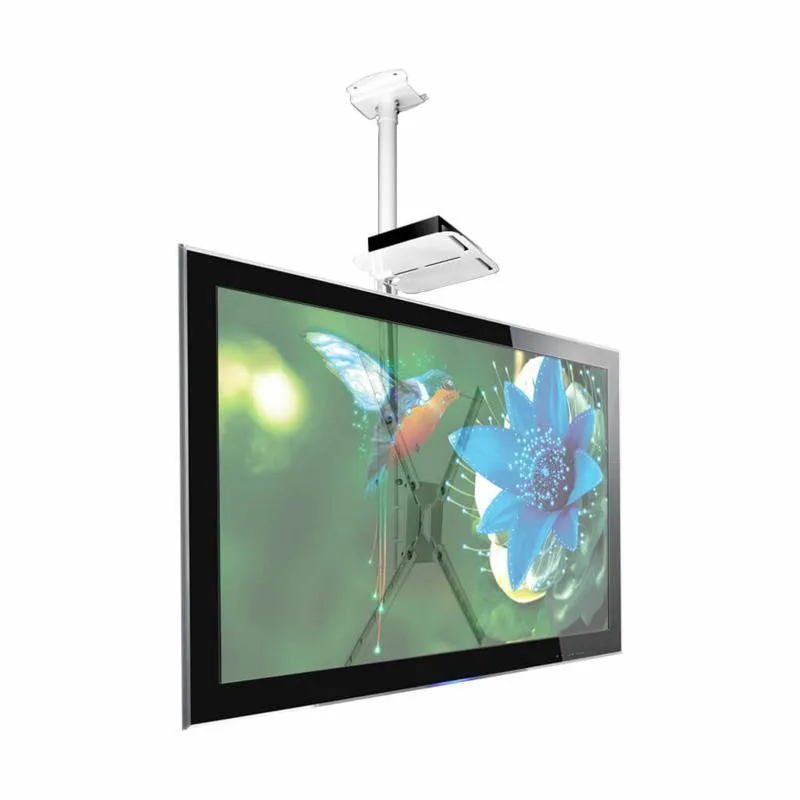 Soporte de Techo para TV 10”a 60” + Soporte Deco -  SBRP150B Brasforma